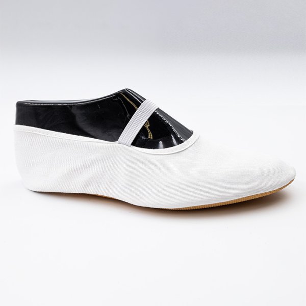 Bleyer Eurythmieschuh 2510 weiß D 40